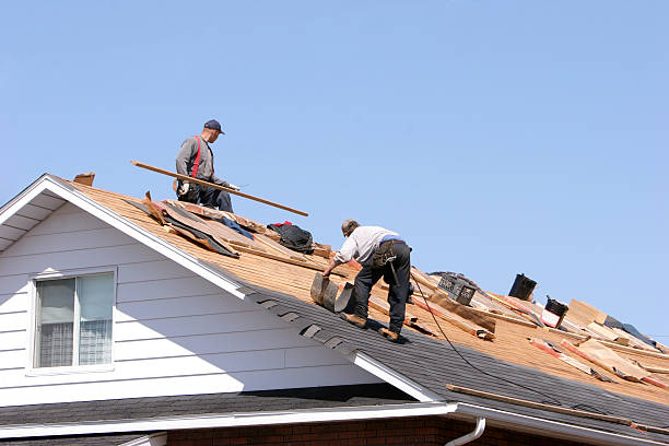 Best Steel Roofing  in Hide A Way Lake, MS